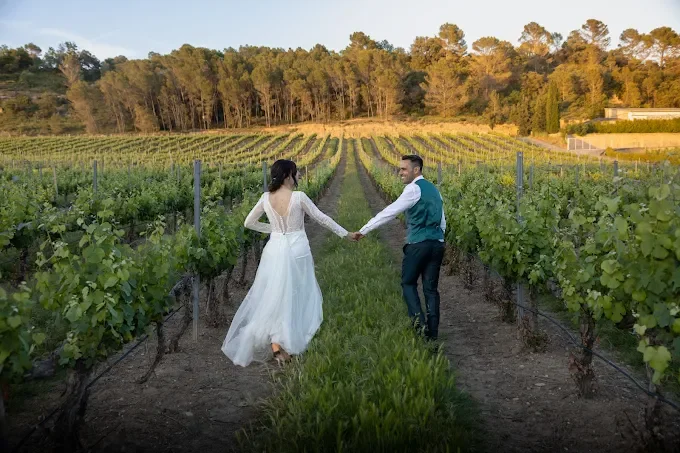 Fotografía de portfolio de Zafiro Bodas 6