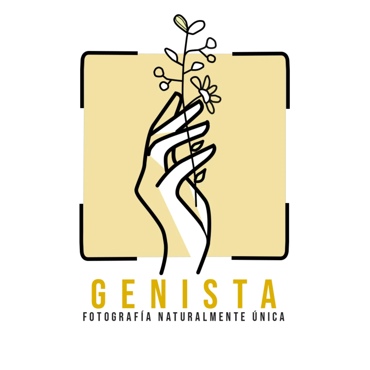 Genista Fotografía