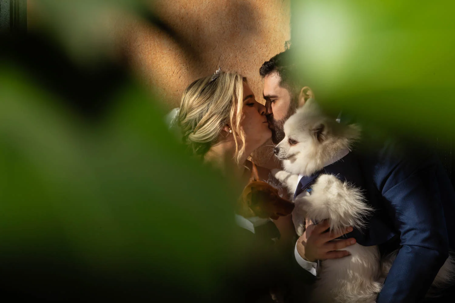 Foto de los novios